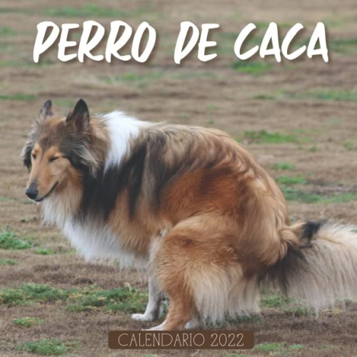 Perro De Caca Calendario 2022: Calendario 12 Meses 2022 - 8