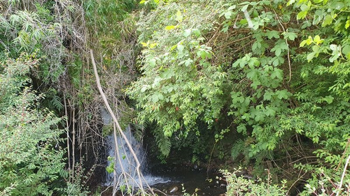 Imagen 5 de 16 de Sitio En Venta En Puerto Octay