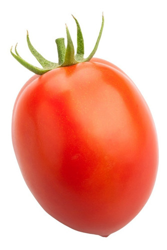Semilla De Tomate Ks-0121 Indeterminado Híbrido 1000 Sem.