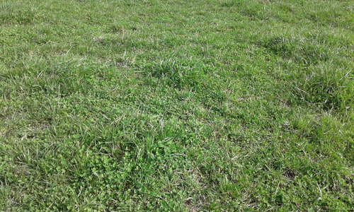 Venta Campo Con Casa Paraje Morlan, Colonia