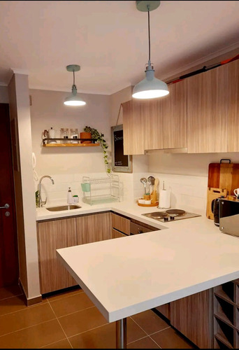 Vendo Dpto 1d 1b En Condominio Robles Del Volcán Pucón