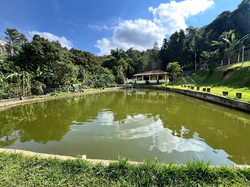 Pesqueiro A Venda Em Mairinque Ótima Localização