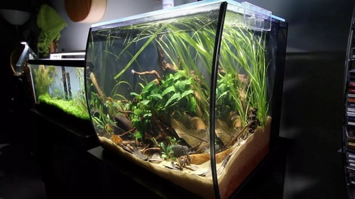 Acuario Fluval Flex 57 L