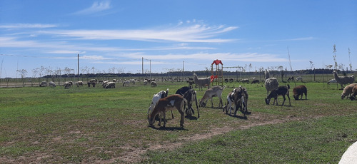 Lote En Arroyos De San Vicente Con Mejoras