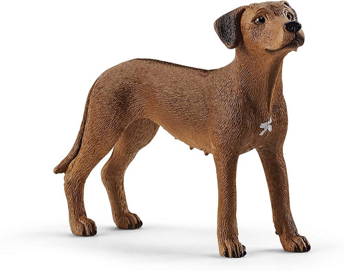 Schleich Perros Gatos 13895 Perro Rhodesian Ridgeback