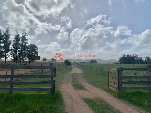 Venta - 5 Has En Sierra De Los Caracoles- Ref: 1568