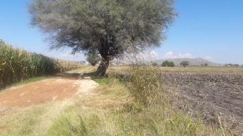Imagen 4 de 7 de Terreno En Venta En Pedro Escobedo