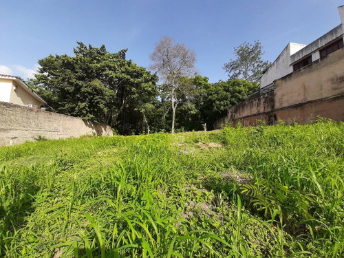 Imagen 6 de 7 de Terreno En Venta En Prebo Ii Cód 451765 María M López