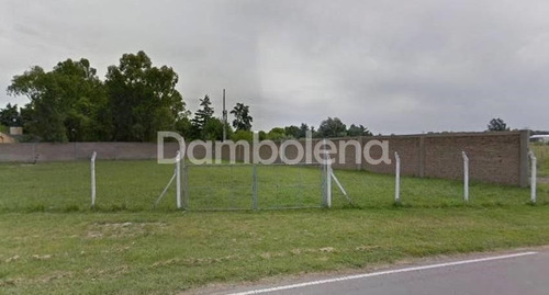 Imagen 4 de 9 de Terreno En Alquiler Ubicado En Colectora Acceso Oeste -moreno, Moreno