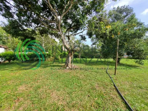 Finca En Venta En Vereda Los Cauchos. Cod V61406