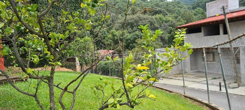 Imagen 16 de 16 de Casa En Renta