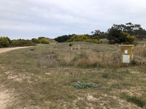 Lote Venta Punta Medanos 1224 Metros