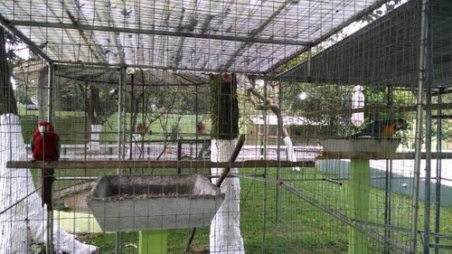 Belíssima Chácara No São Marcos Itanhaém/sp | 4437 Fr