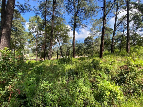Imagen 1 de 11 de Terreno En Venta En San Gabriel Ixtla, Valle De Bravo