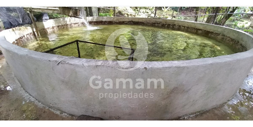 Terreno En Venta En El Texme Con Centro Ecoturistico Operativo