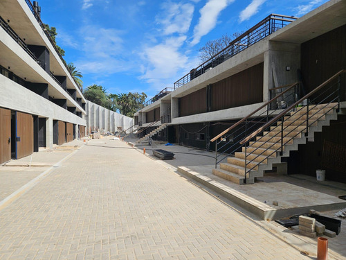Anima Domi Duplex A Estrenar