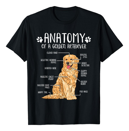 Playera Divertida De Anatomía Golden Retriever Para Amantes