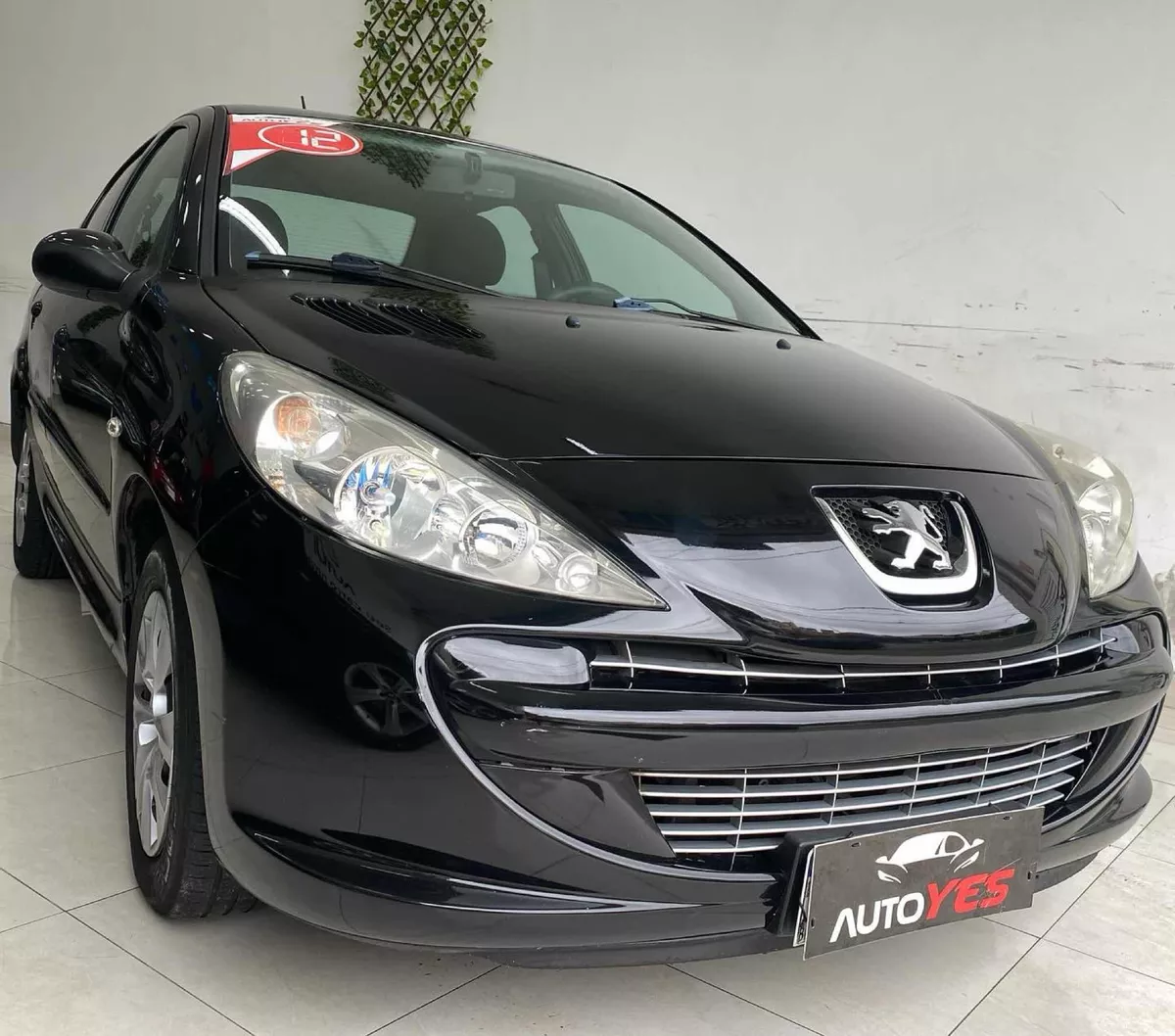 Peugeot 207 passion xr