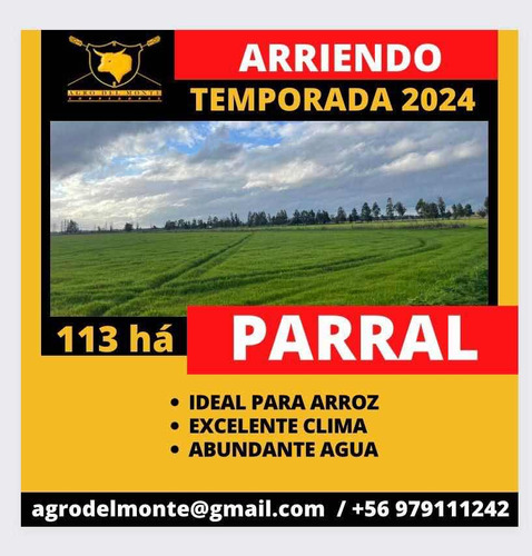 Arriendo 113 Ha Parral