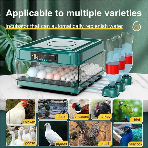 Incubadora Automática De Aves Corral 360 ° Espacio Ajustable