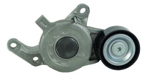 Rodamiento Tensor Alternador Peugeot Traveller 2.0 Hdi Dw10