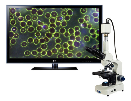 Microscopio Trinocular Led De Siedentopf De Laboratorio Omax