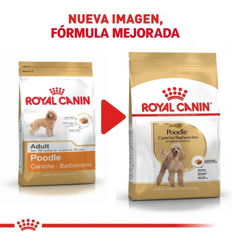 Royal Canin Caniche Adulto X 7.5kg Envio Gratis Amba
