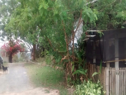 Imagem 9 de 15 de Chácara No Santa Clara - Ch00014