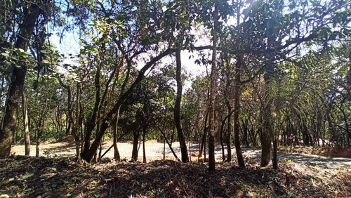 Imagem 8 de 9 de Lotes Em Condomínio Para Comprar No Condomínio Aldeia Da Cachoeira Das Pedras Em Brumadinho/mg - 1959