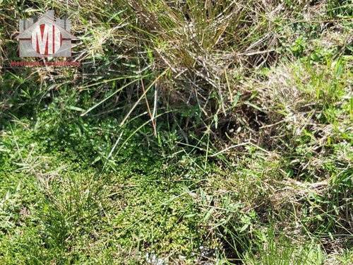 Chácara Com Casa Simples, Terreno Plano, Próxima Da Cidade À Venda, 3800 M² Por R$ 160.000 - Rural - Socorro/sp - Ch0528