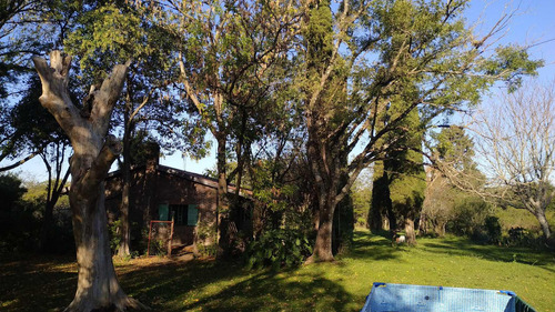 Imagen 9 de 9 de Venta Campo - Zona Talita - Concepcion Del Uruguay
