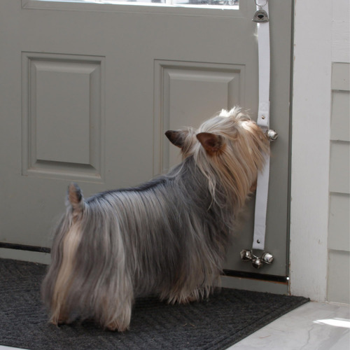 Campana Original Para Orinal De Perro De Caldwell