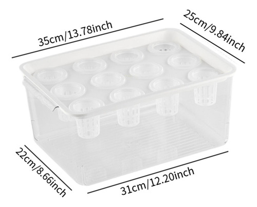 Caja De Hidropónico, Contenedor De Plantación De