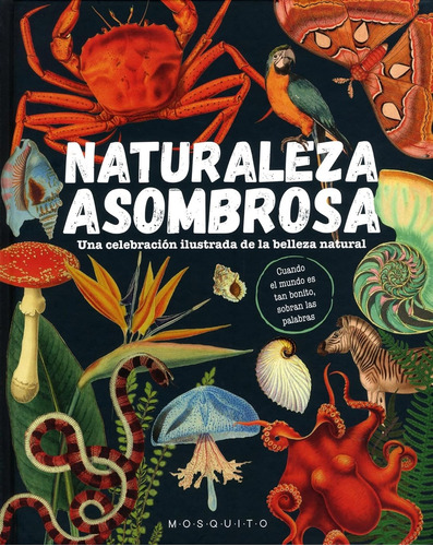 Naturaleza Asombrosa - Vv.aa