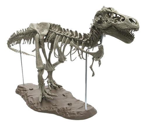 Modelo De Esqueleto De Dinossauro 4d Exibição Ossos