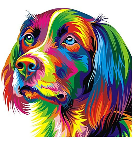 Pintura Al Óleo Para Niños Y Adultos (color Perro)