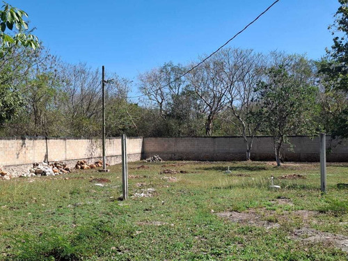 Venta Amplio Terreno De 6000 M2 Tahdzibichen, Merida, Yucatan.