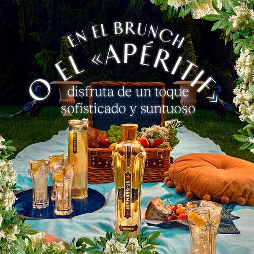 St. Germain Licor De Flores De Sauco 750ml
