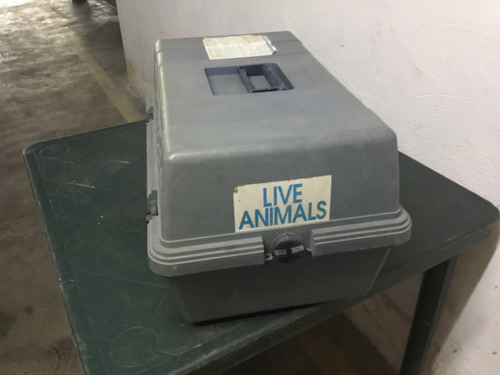 Kennel Para Transportación De Animales 