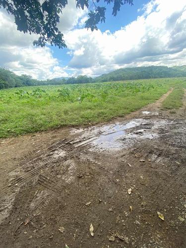 Finca En Bonao Cerca De Rio Yuboa