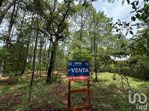 Venta Terreno 0 Ambiente Chijiltec (san Isidro)