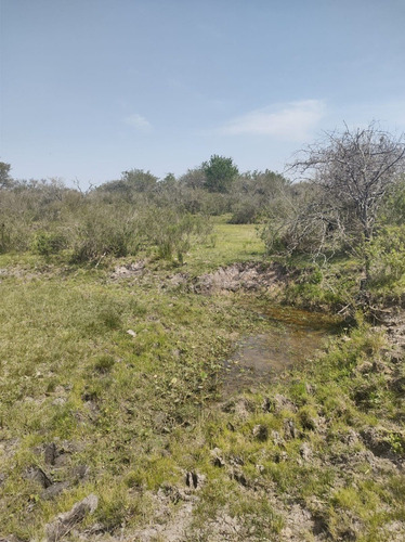 Imagen 6 de 15 de En Venta Chacra Mojones Norte 10.5 Ha