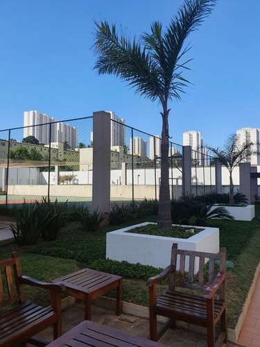 Imagem 30 de 30 de Apartamento - Venda - Ponte De São João - Cod. 7140 - V7140