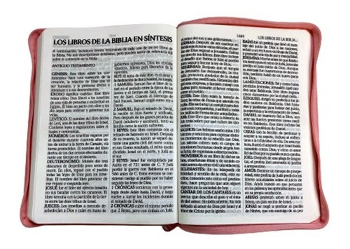 Biblia Reina Valera 1960 Letra Gigante Cierre Pjr Conc. Rosa