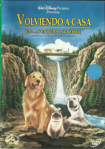 Volviendo A Casa | Dvd Película Seminuevo