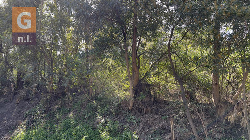 Terreno En Piriápolis (bella Vista) Ref. 6737