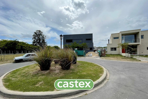 Imagen 14 de 18 de Lote En Vente En Santa Elisa Pilar Del Este