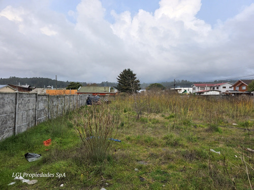 Sitio De 1.118 M2, Para Comercio Y Habitación Lomas Colorada