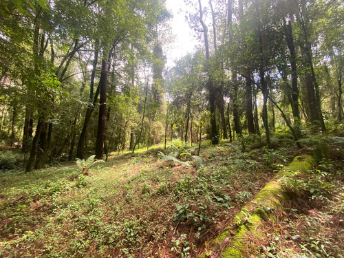 Terreno En Venta Circuito Avándaro