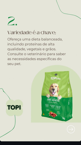Topi Dog Gourmet X 10,1 Kg - Sabor Carne Y Vegetales